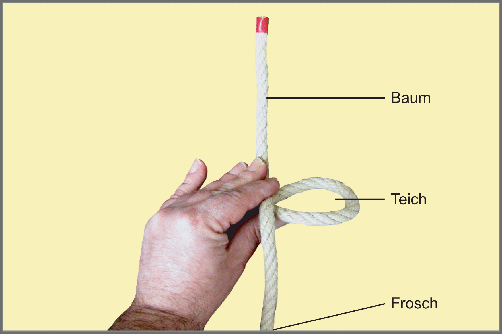 Seemannsknoten - Palstek / Anleitung Schritt 2: Drehen Sie das Auge so, dass es waagerecht liegt. Nun haben Sie am festen Ende einen "Baum", der nach oben wächst. In der Mitte ist ein "Teich" (das Auge). Am losen Ende hängt unten ein "Frosch".