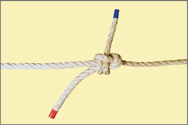 Seemannsknoten - Doppelter Schotstek / Anleitung Knoten: Ansicht des fertigen Knotens